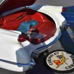 DSC_0122_01 (October 03, 2020)